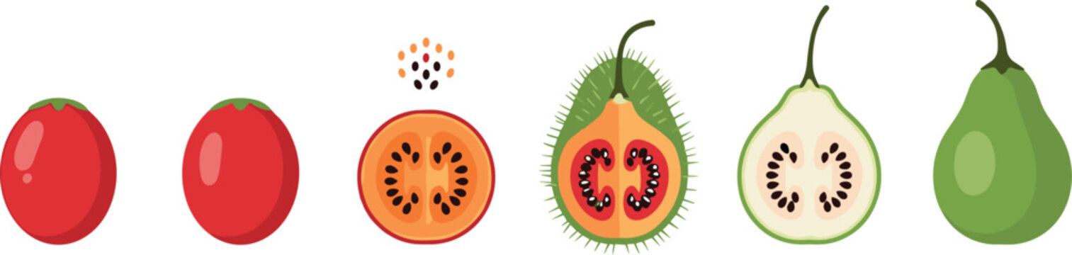 Gac fruit vector illustration set featuring whole and sliced gac with seeds and comparison with other fruits in flat style