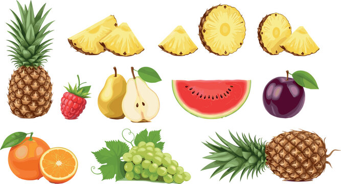 Mixed fruit vector illustration set featuring pineapple slices watermelon grapes pear orange plum and berries in colorful realistic style