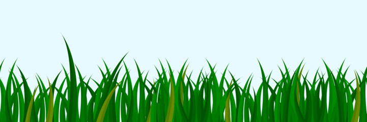 Fototapeta premium Green meadow grass seamless border with lush lawn blades and wild vegetation in cartoon vector illustration for spring garden landscape background with natural turf pattern and field panorama