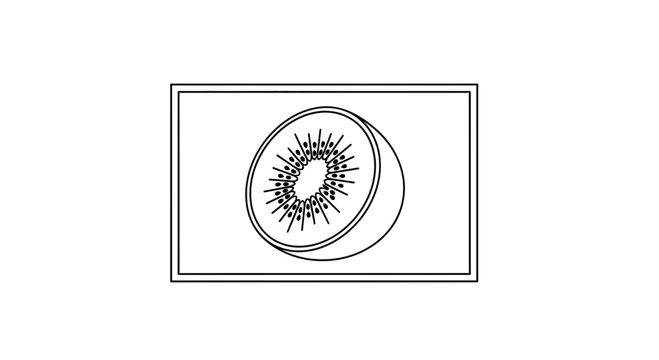 Kiwi Slice Illustration: Fresh Fruit Cut in Half, Seeded Core, Vector Art