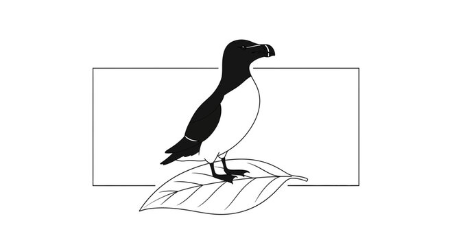 Black and white illustration of a puffin bird standing on a leaf within a rectangle