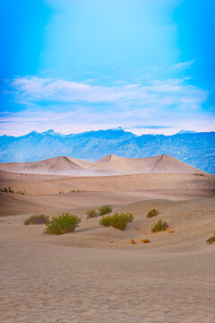 Sand DesertDesert Sand Dunes in Death Valley, Nevada, USA	