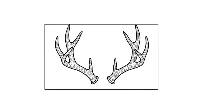 Deer Antlers Silhouette, Hunting Trophy, Wildlife Symbol, Rustic Decor Element