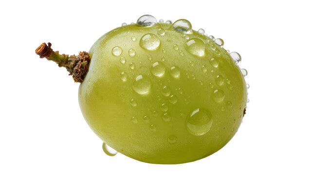 Green grape with water droplets on stem