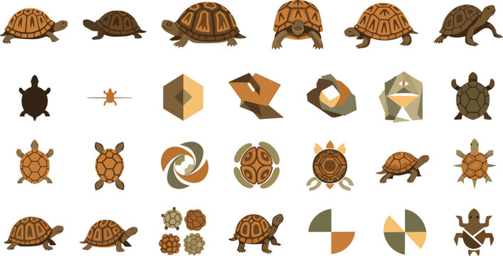 Turtle Vector Set Collection with Tortoise Reptile Shell and Wildlife Icons