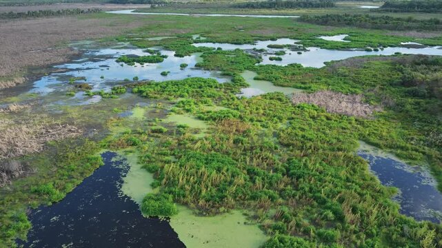 Protected Emeralda Marsh Wetlands In The Central Florida, USA. Aerial Drone Shot
