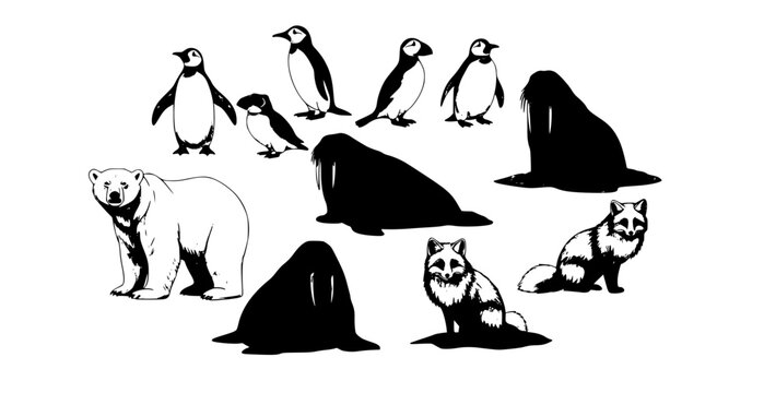 Realistic Arctic wildlife animals and birds polar bear penguin walrus vector collection