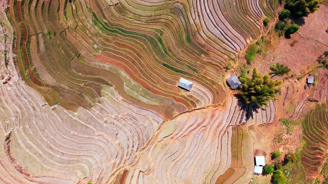 Layers of Vietnam hillside terraced into pattern water filled colourful brown rice paddies. Curved terraces at different stages pf preparation prior to growing season.