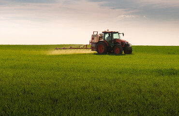 Fototapeta premium Tractor spraying wheat field with sprayer, herbicides and pesticides