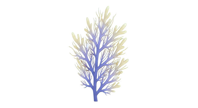 Illustration of a colorful branching seaweed on a white background