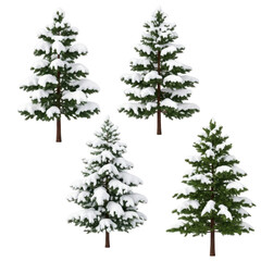 Obraz premium Three evergreen trees standing in a snowy winter landscape