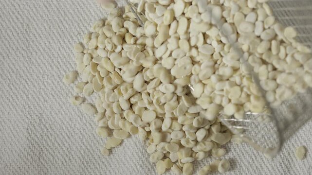 Heap of dried broad beans , fava