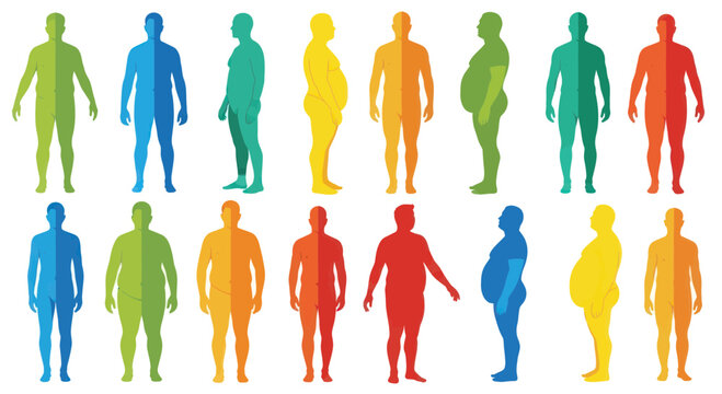 Diverse Body Types and Weights - Colorful Human Silhouettes