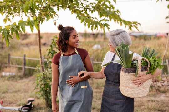 Women wearing aprons walking with fresh harvested vegetables