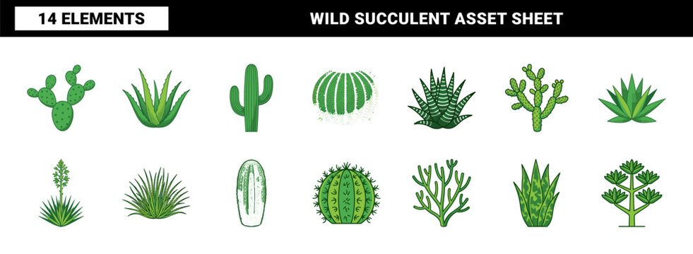 Desert Cactus and Succulent Plant Kit