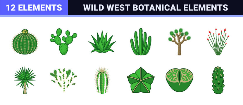 Desert Cactus and Xeric Plant Asset Kit
