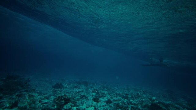 Underwater ocean scene with sunlight rays filtering through deep blue water as surfer pushes board below to duck dive and allow energy to pass over top, slow motion