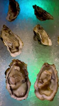 Oysters are beautifully served on ice