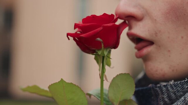 White creator licking red rose, provocative street artist act, performer persona teasing petal texture, candid mouth closeups, bold sensual mood, shallow depth and soft natural light, urban edge