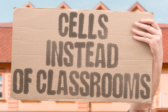 "Cells Instead Of Classrooms" more people from disadvantaged backgrounds than comparable investments in education would produce. PRISON. SCHOOL. SYSTEM. BUDGET. YOUTH.