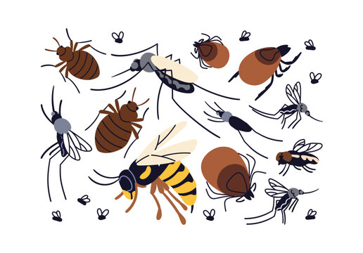 Pest insects set. Flying mosquito, fly, midge, flea, tick, bed bug and wasp. Different biting and bloodsucking species, parasites, bloodsuckers. Flat vector illustration isolated on white background