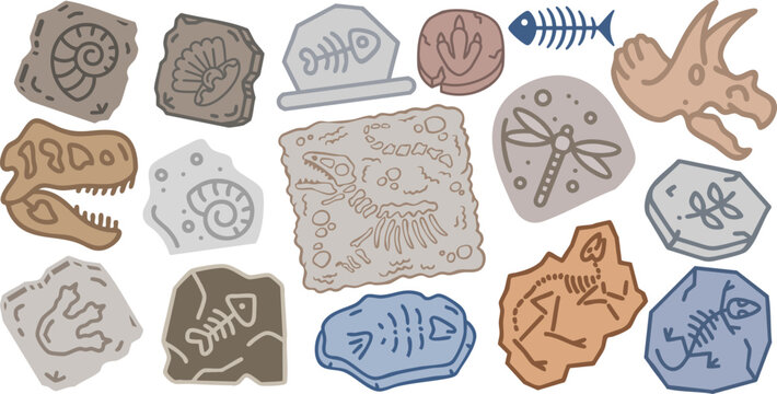 Colorful archaeological fossil collection vector set. Cute cartoon dinosaur bones, ammonite, fish and insect fossils on stone rocks, perfect for education and kids designs.