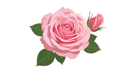 Fototapeta premium Beautiful blooming pink rose with green leaves and a small bud is depicted in a soft and romantic botanical floral illustration.