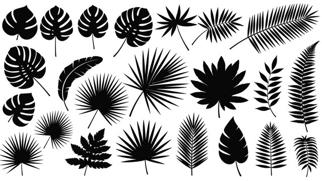 Diverse set of solid black tropical and exotic leaf silhouettes including palm, monstera, and fern varieties.