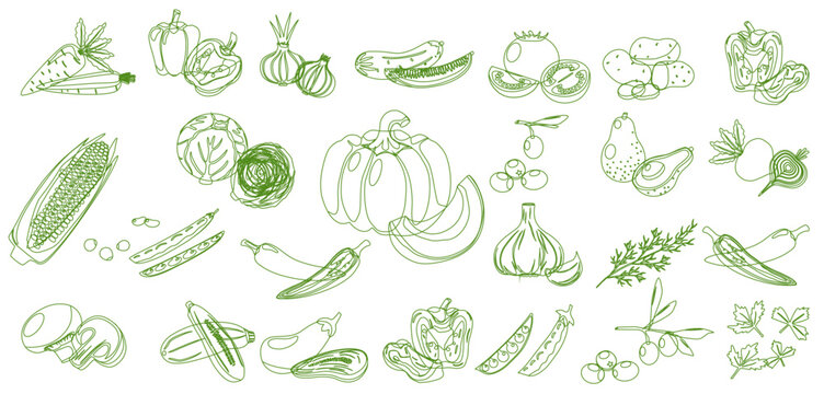 modern doodle  showcasing a variety of healthy vegetables, healthy food vector