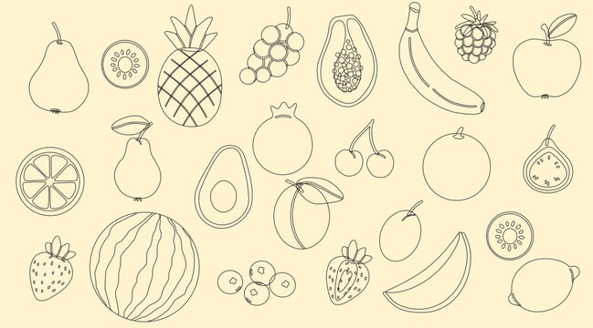  fruits doodle icons outline healthy food vector set
