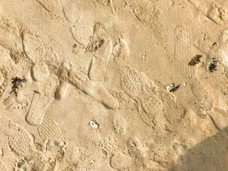 Fototapeta premium Footprints mark the sandy beach, scattered and worn. Sunlight glints softly across the textured surface. Each step tells a quiet story of passage and pause