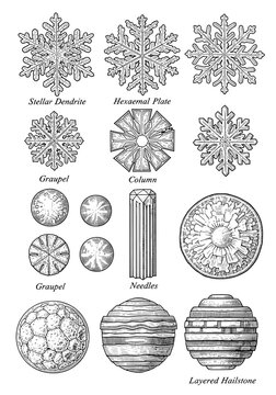 A Detailed Illustration of Various Snowflakes and Hailstones Structures