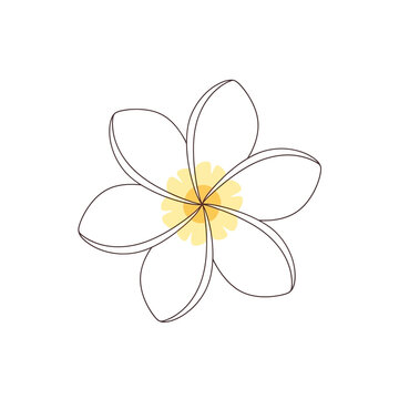 Simple flat 2D pastel vector illustration of tiare flower blossom