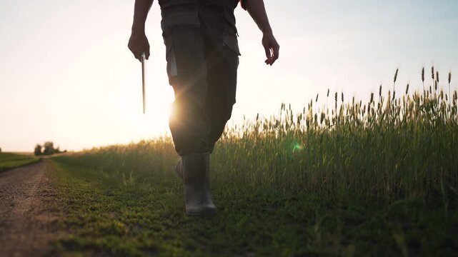 walking through wheat field at sunset person walk along dirt path holding tool boot visible tall wheat and grass sway under golden sun flare farmer tends crop for harvest rural landscape and farm