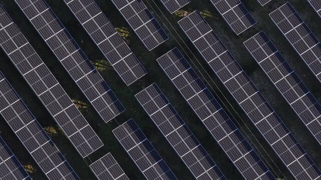 Aerial view of orderly rows of solar panels creating a geometric pattern against the green grass, absorbing sunlight, Lisbon, Portugal.