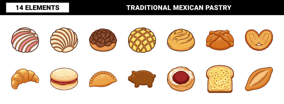 Mexican Sweet Bread Concha Vector Set
