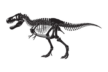 tyrannosaurus skeleton bone museum silhouette © James