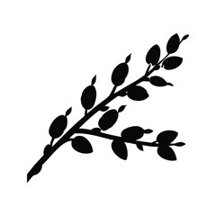Silhouette of a branch with leaves, elegant and minimalist design, vector illustration, willow branch silhouette vector illustration © hamiduls11arts