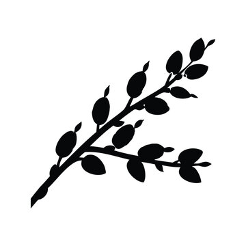Silhouette of a branch with leaves, elegant and minimalist design, vector illustration, willow branch silhouette vector illustration