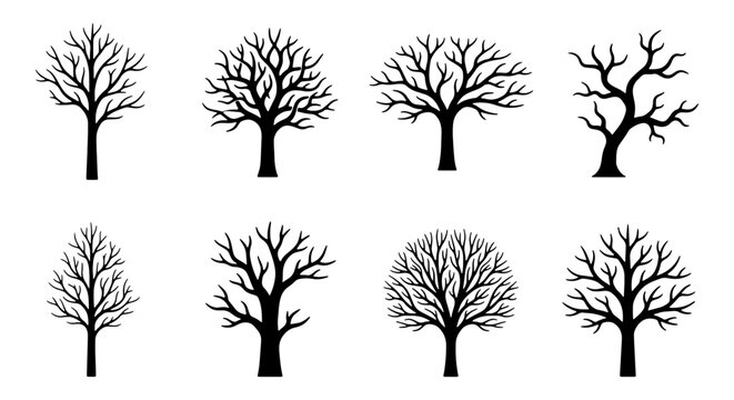 Black tree silhouettes set, 8 bare winter trees with leafless branches, minimalist forest plant vector icons for landscape design and spooky decor