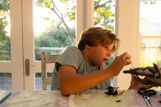 12 year old boy playing with model dinosaur at home at sunset
