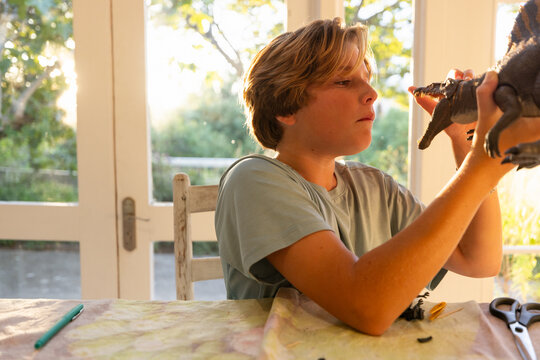 12 year old boy playing with model dinosaur at home at sunset