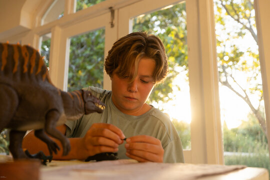 12 year old boy playing with model dinosaur at home at sunset