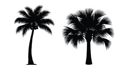 Two tropical palm trees against a white background a striking silhouette © MDShawon
