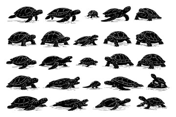 Obraz premium Collection of diverse sea turtles in various poses and movements.
