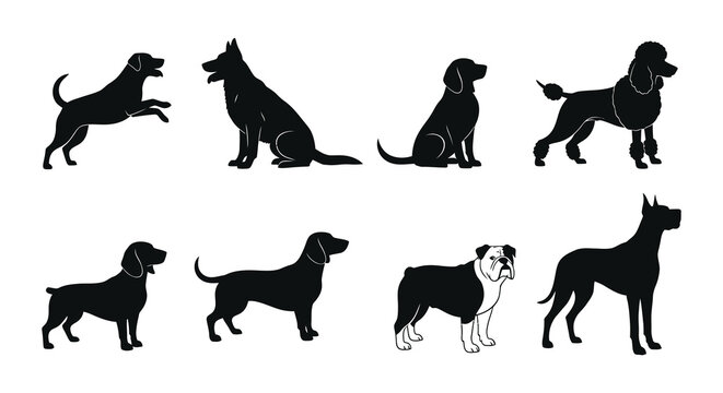 Collection of various dog breeds depicted in black silhouette