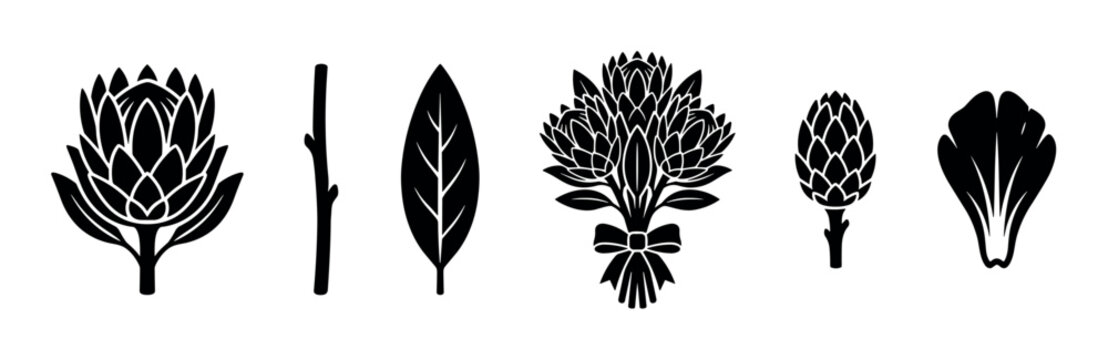 Collection of black protea flower silhouettes including a bouquet, bud, leaf, and stem in a minimalist graphic style for botanical design and decoration