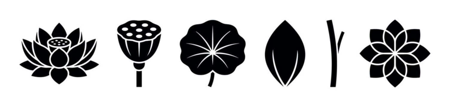 Various lotus plant elements depicted as elegant black silhouettes, showcasing different stages and forms of the sacred aquatic flower in a minimalist vector style.