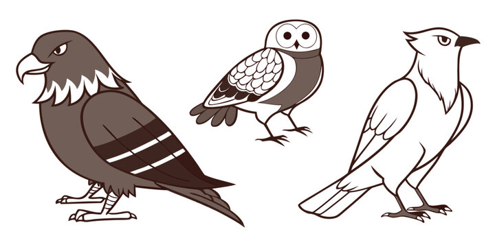Graphic illustration collection of birds of prey and owl with predator wildlife illustration monochrome creature birdwatching ornithology predatory collection isolated
