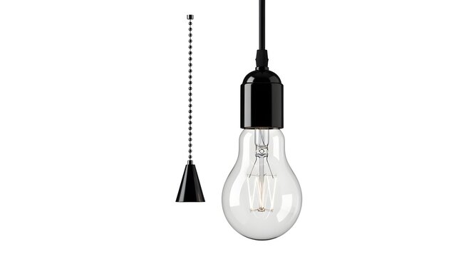 A clear glass light bulb with an exposed filament and a sleek black socket hangs from a matching black cord, accompanied by a stylish pull chain for turning on or off.